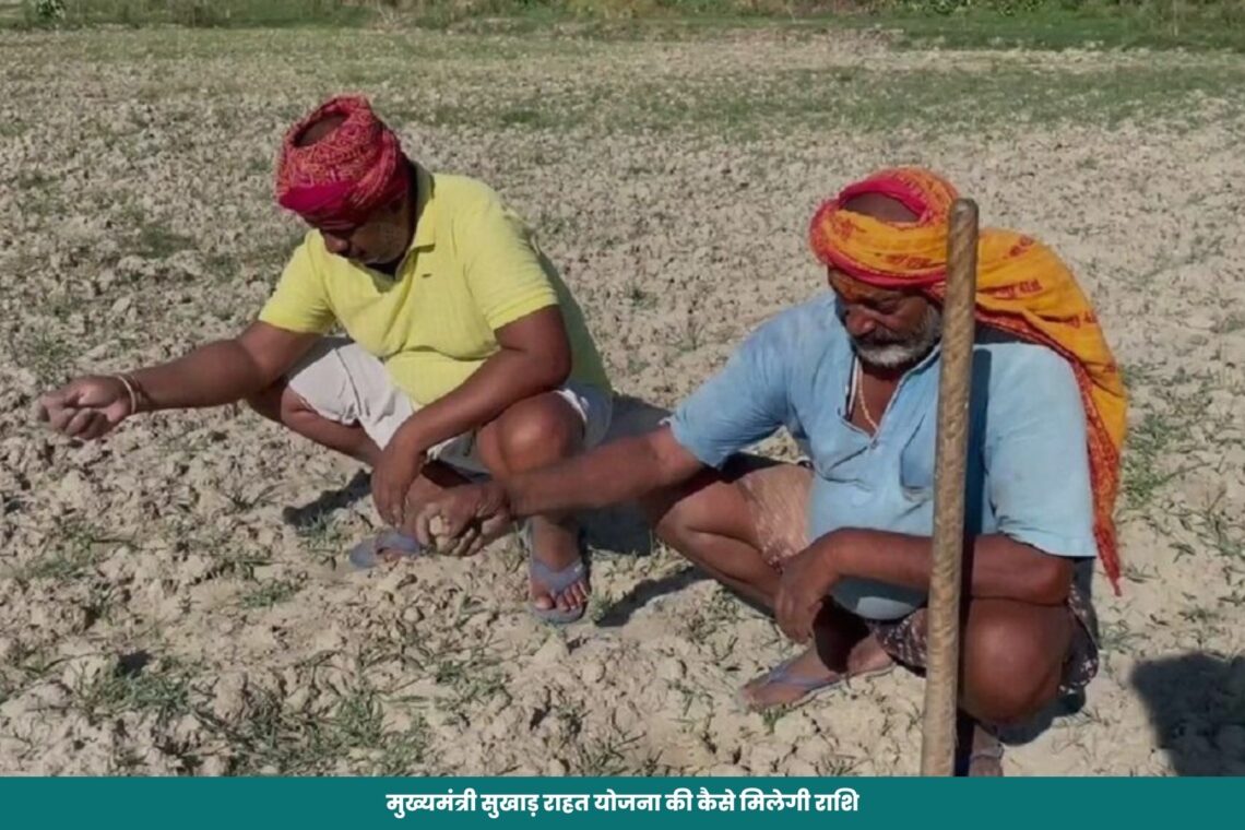 मुख्यमंत्री सुखाड़ राहत योजना की कैसे मिलेगी राशि, वेरीफिकेशन की इस रफ्तार से 10 प्रतिशत किसानों को भी इस योजना का लाभ नहीं मिल पायेगा