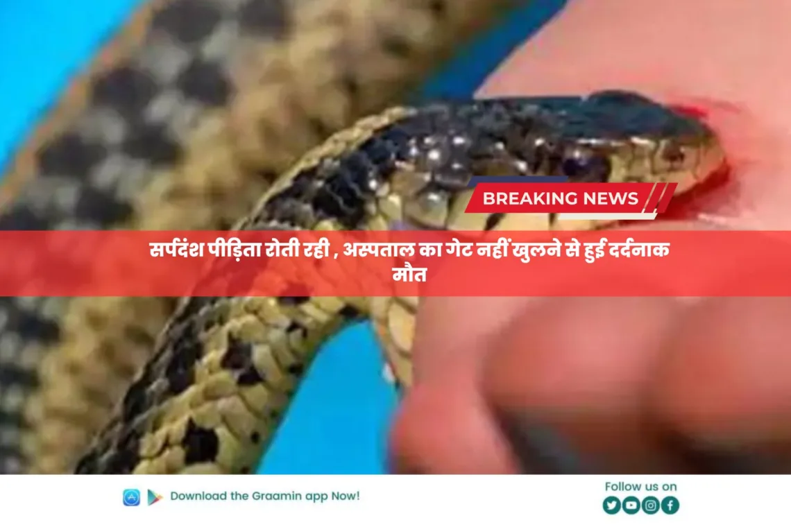 Snakebite victim painful death: सर्पदंश पीड़िता रोती रही , अस्पताल का गेट नहीं खुलने से हुई दर्दनाक मौत